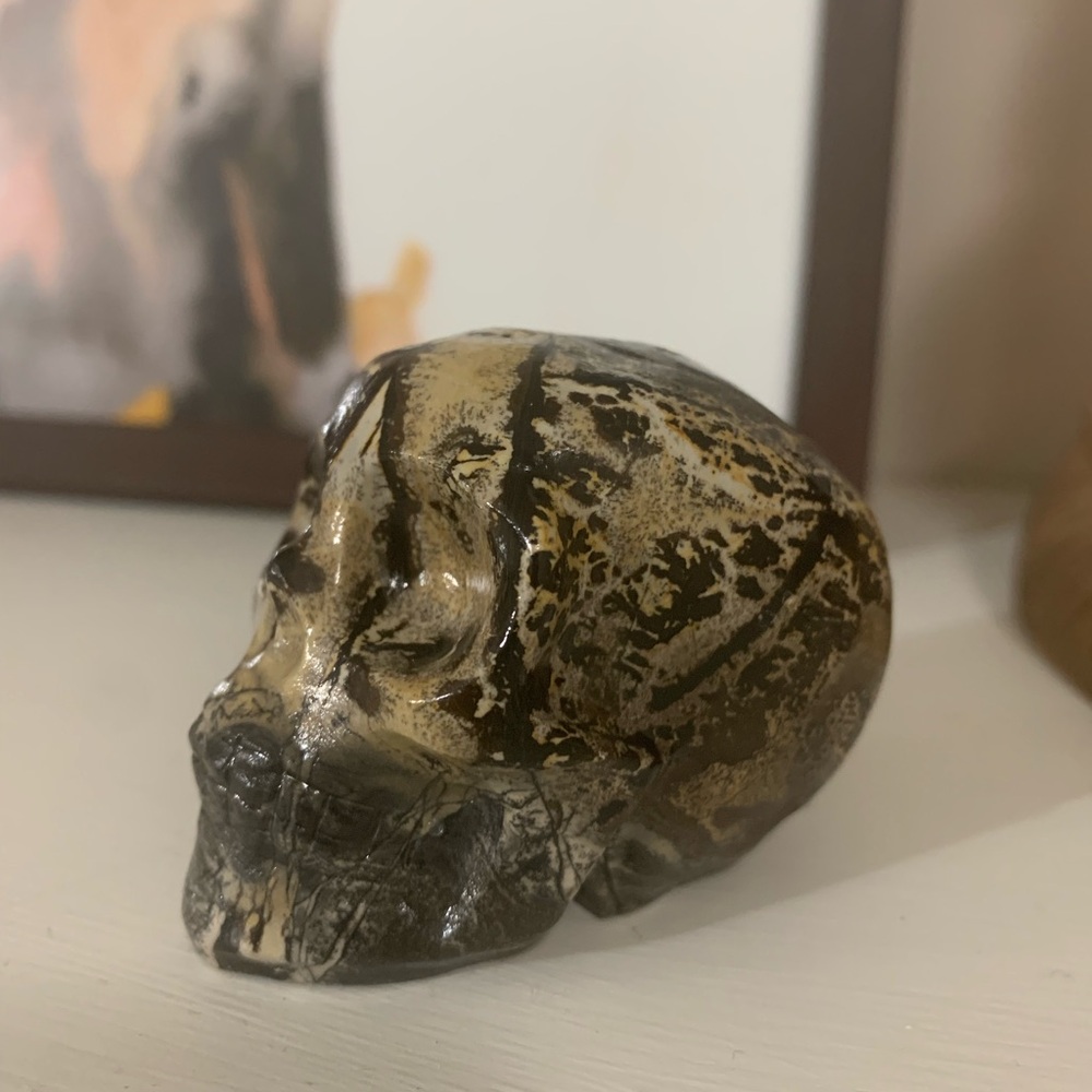 Picture jasper skull